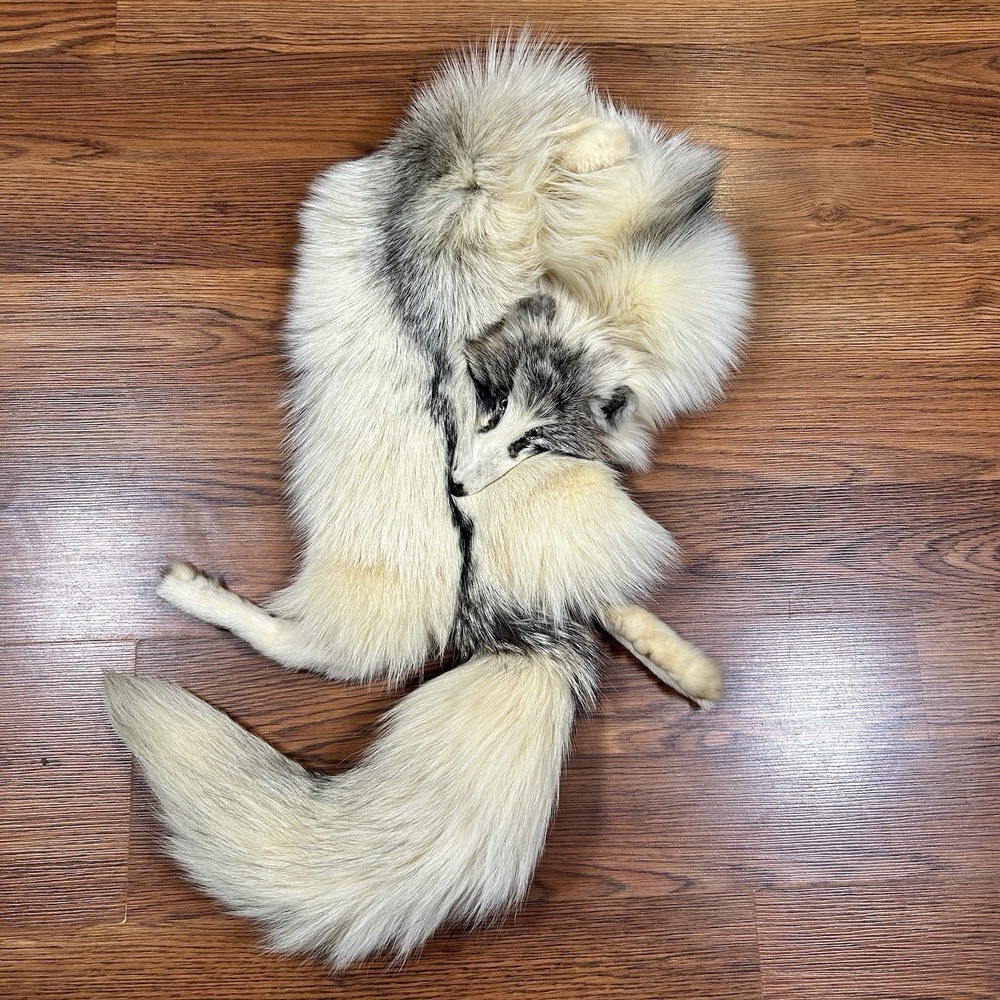 Vintage Natural Genuine Marble Fox Fur Scarf Wrap Stole Head Legs Taxidermy 50"